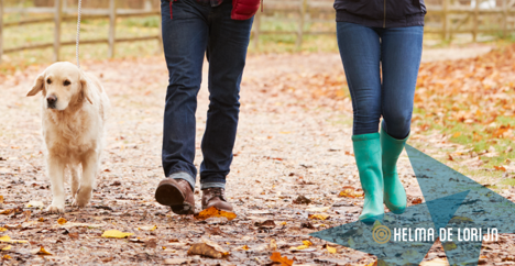 Afbeelding van het bericht 'Met je familie moet je wandelen, niet handelen, toch?'